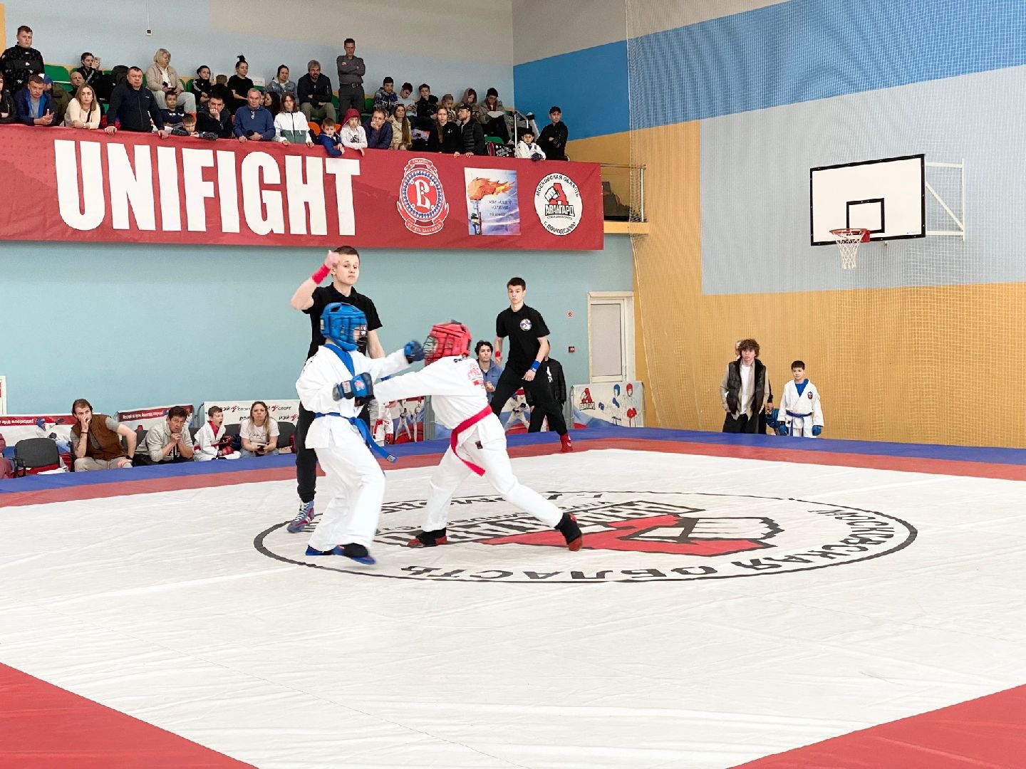 Домодедово, спорт, боец, чемпион, стадион Авангард