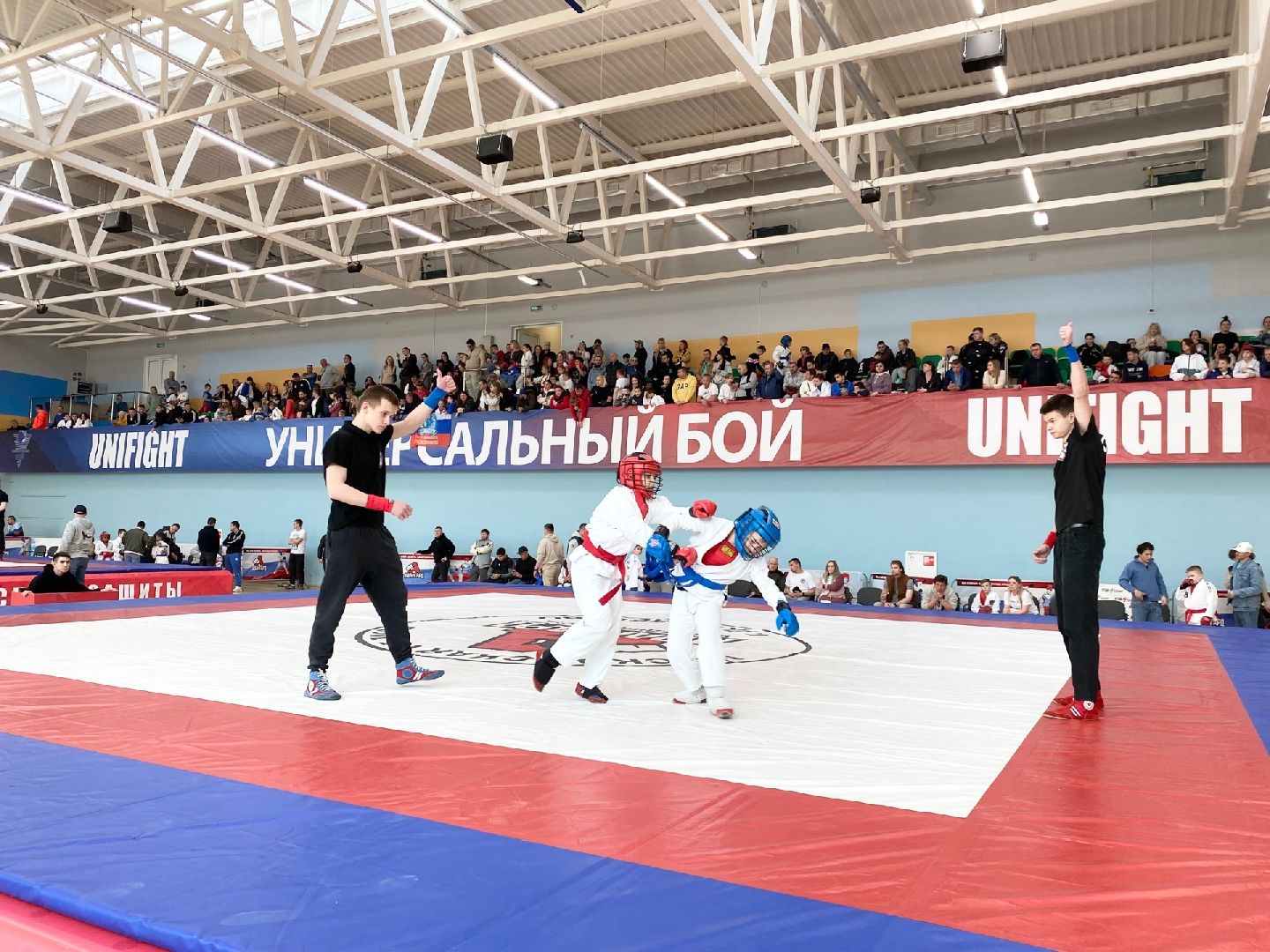 Домодедово, спорт, боец, чемпион, стадион Авангард