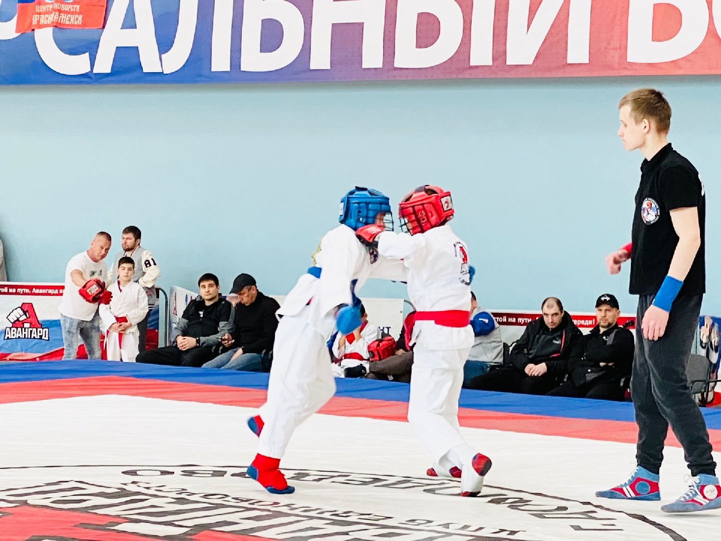 Домодедово, спорт, боец, чемпион, стадион Авангард