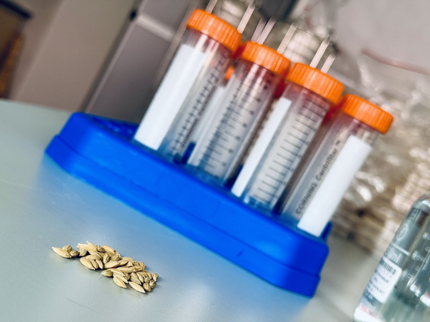 сельское хозяйство, раменское, быково, наука,исследования,