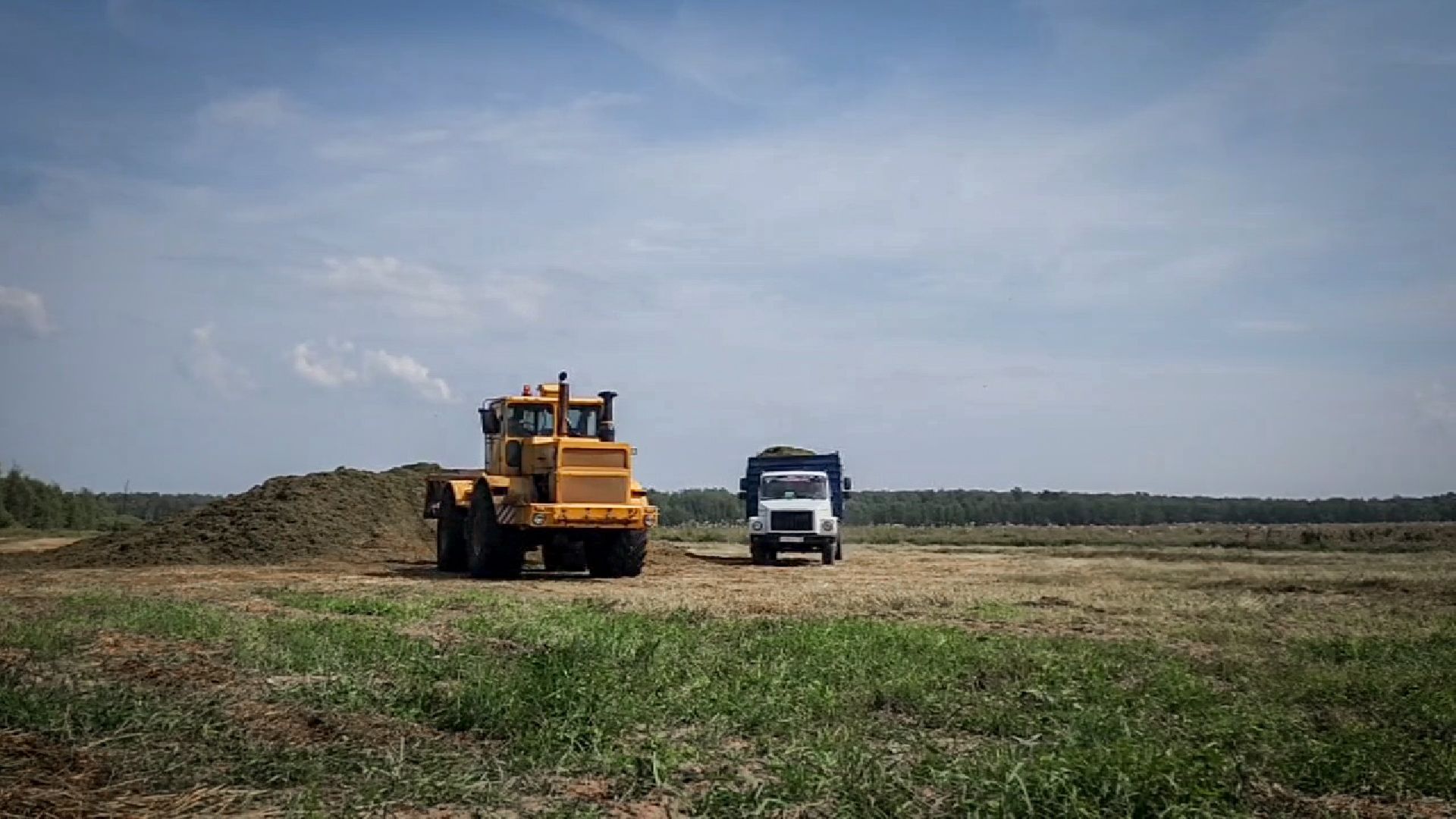 бронницы, сельскохозяйственное предприятие , заготовка кормов, заготовка сена, заготовка сенажа для коров,