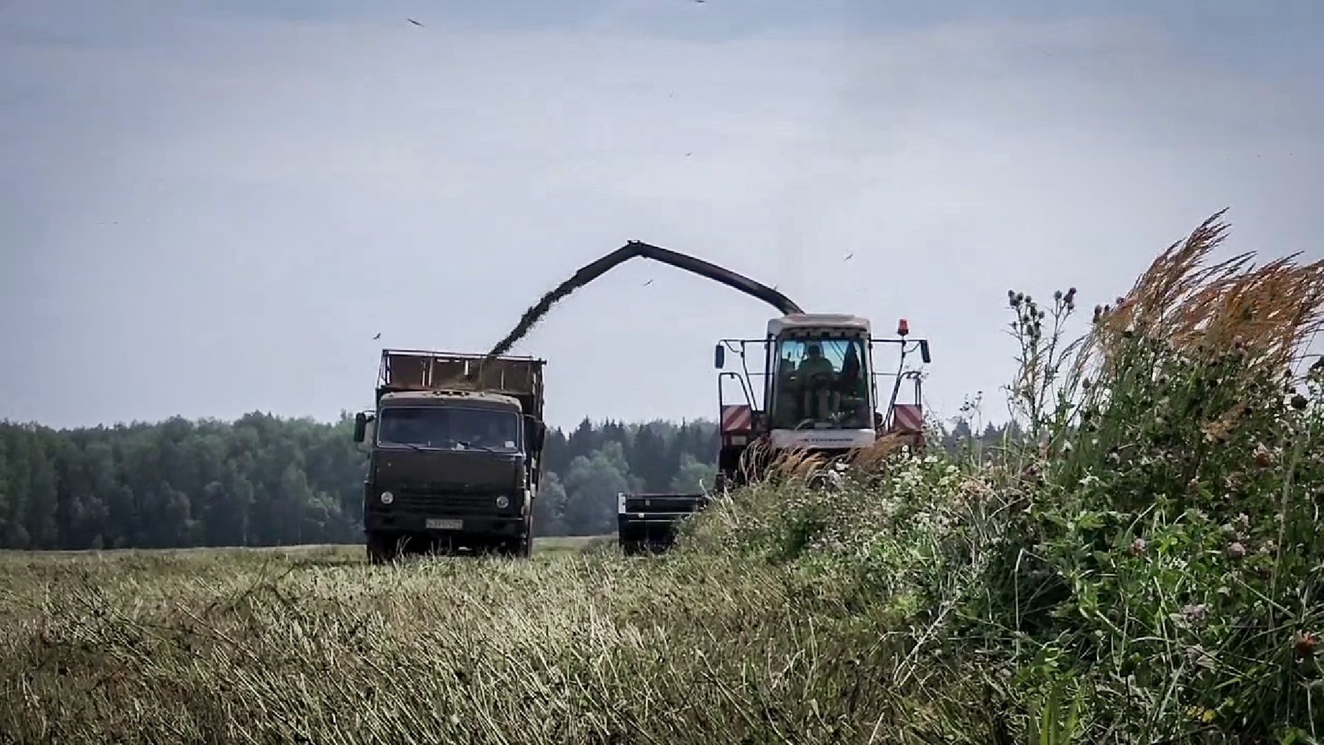 бронницы, сельскохозяйственное предприятие , заготовка кормов, заготовка сена, заготовка сенажа для коров,