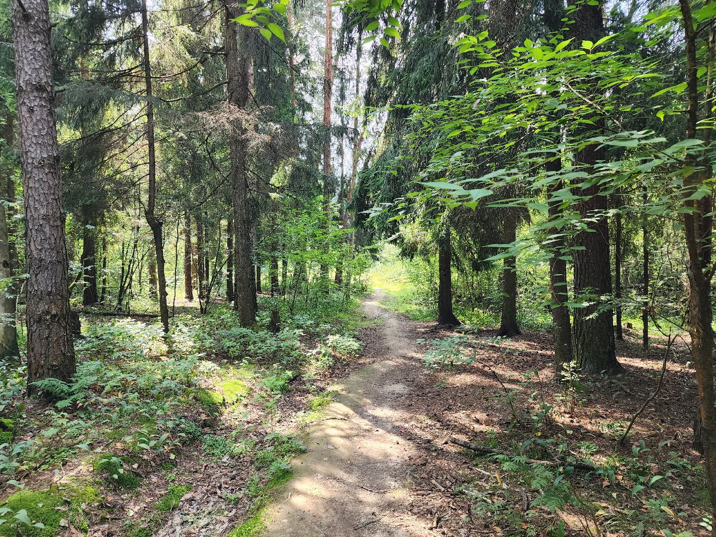 арт-объект, жилка, культура, старая купавна, богородский городской округ,