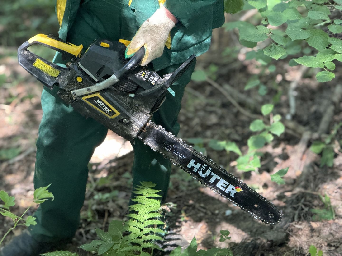 вырубка деревьев, ленинский городской округ, парки видного, санитарная обрезка деревьев,