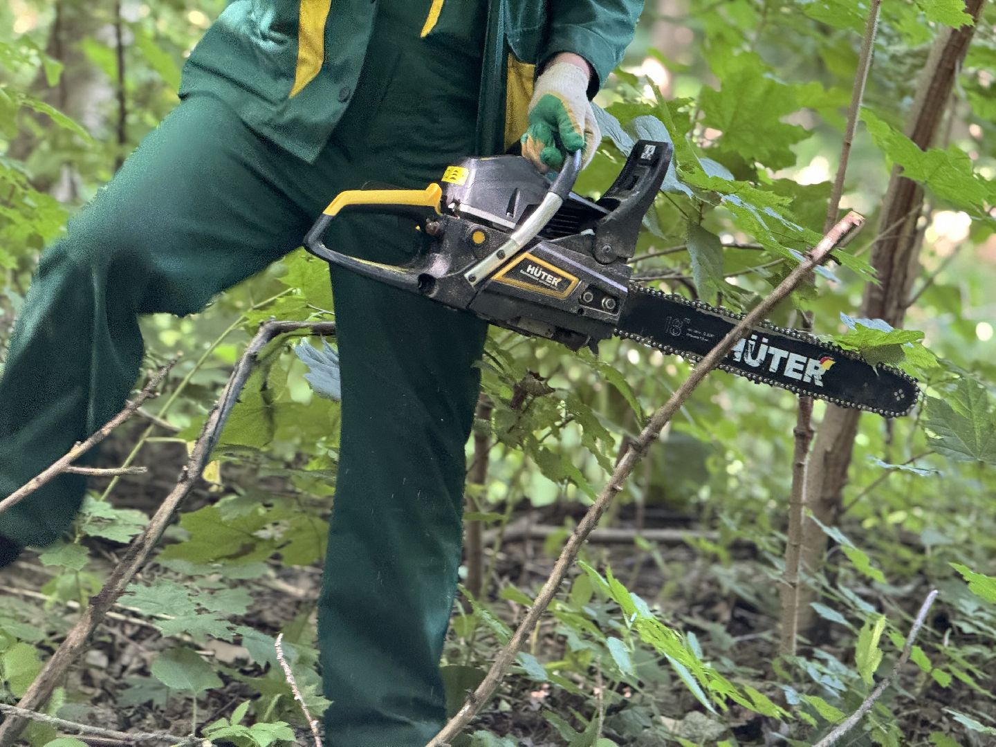 вырубка деревьев, ленинский городской округ, парки видного, санитарная обрезка деревьев,