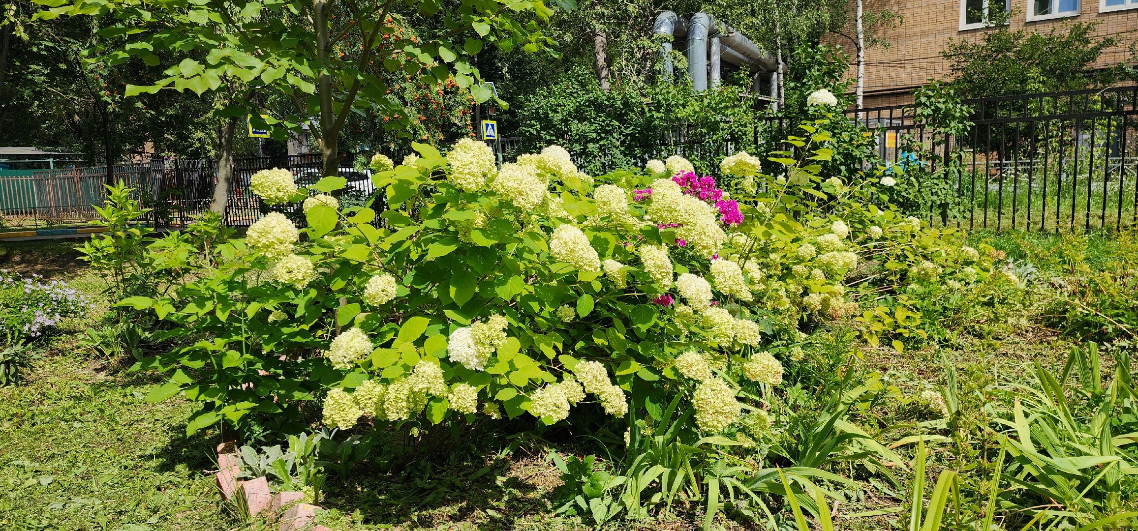 Химки, Образование , Школы,