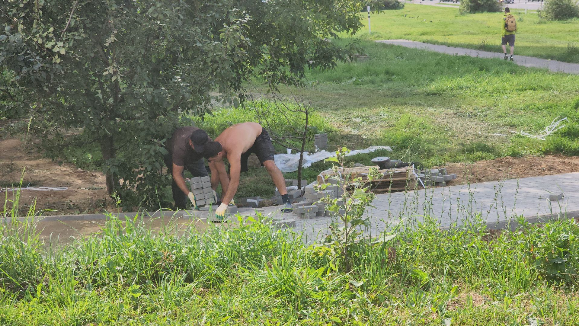 долгопрудный, школа в микрорайоне центральный, новый бульвар, дорожка, плитка, школы,