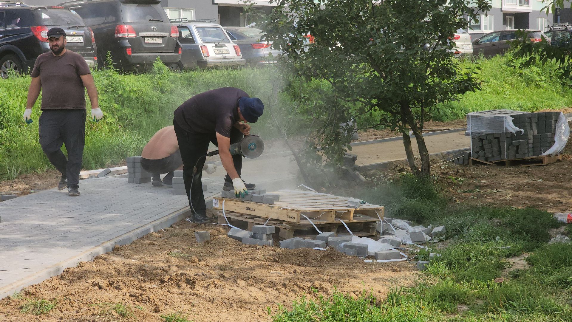 долгопрудный, школа в микрорайоне центральный, новый бульвар, дорожка, плитка, школы,