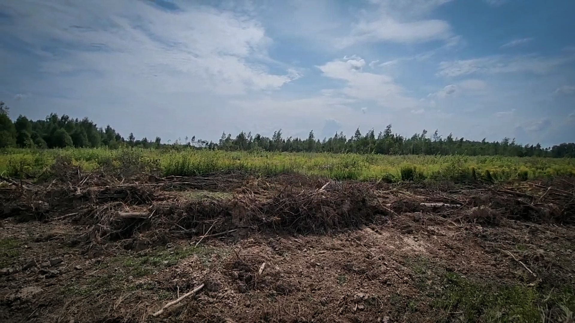 бронницы, сельскохозяйственное предприятие , расширение производства,