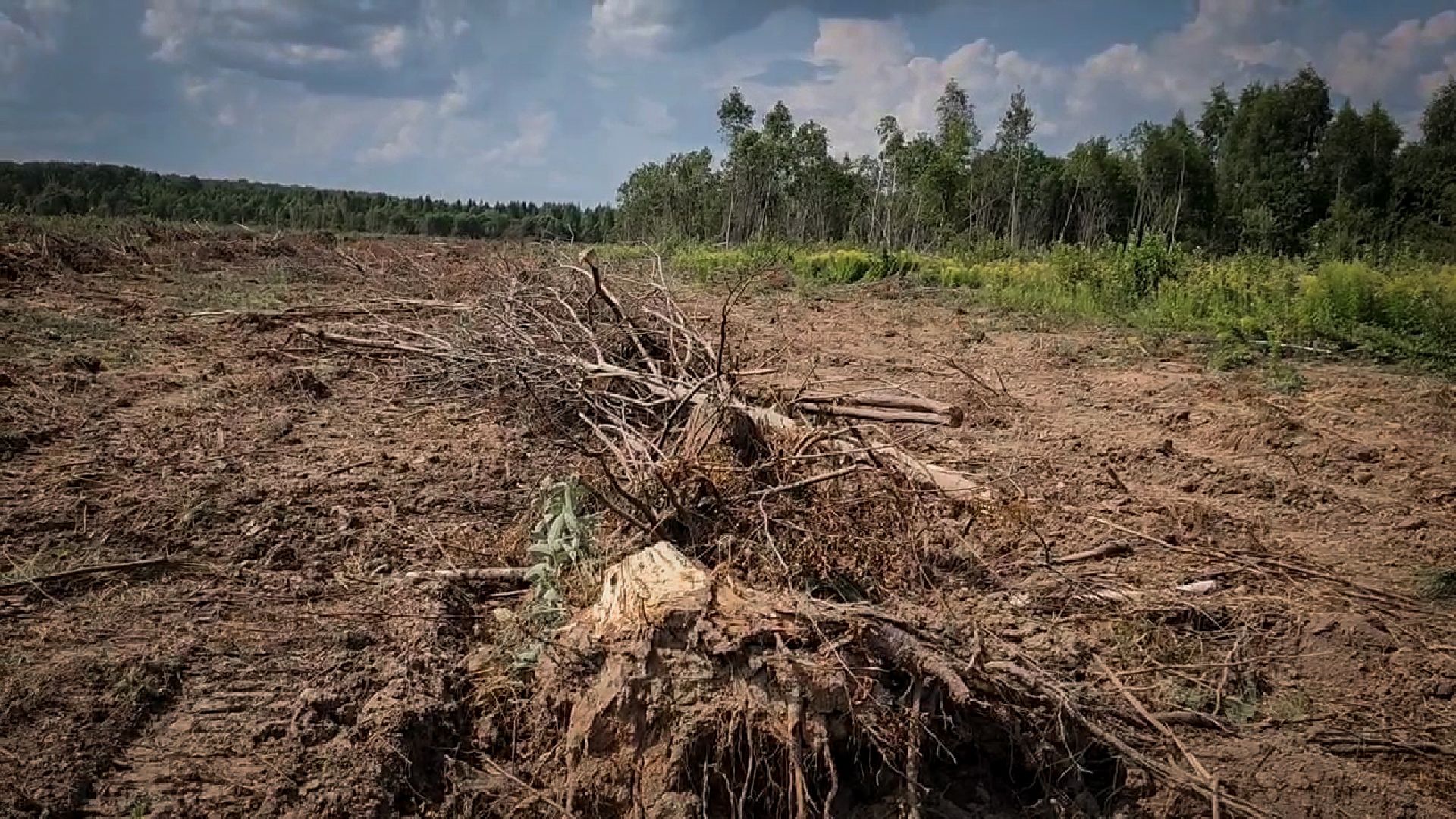 бронницы, сельскохозяйственное предприятие , расширение производства,