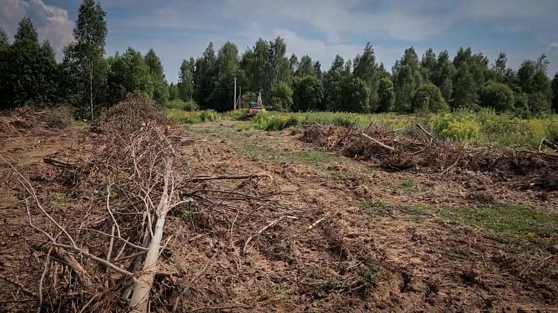 бронницы, сельскохозяйственное предприятие , расширение производства,