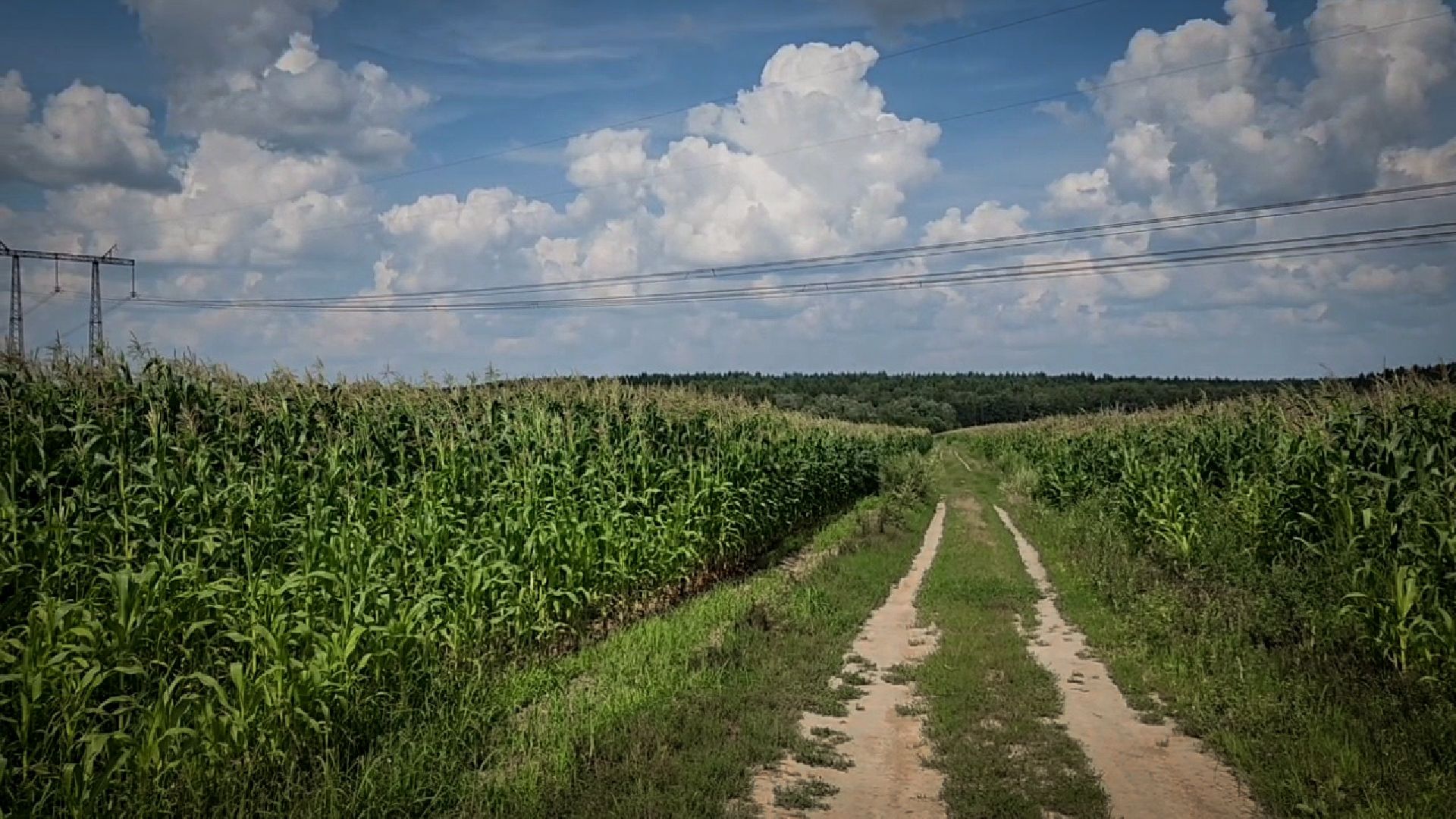 бронницы, сельскохозяйственное предприятие , расширение производства,