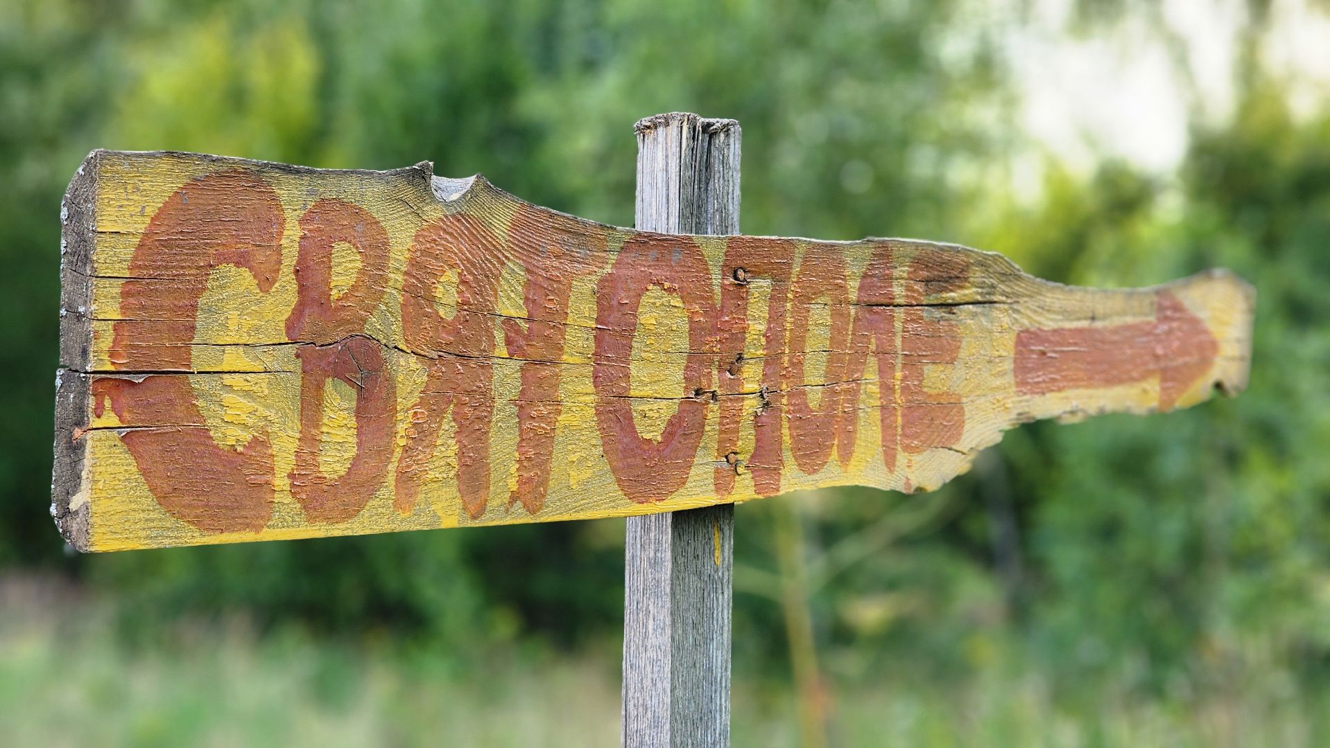 Зарайск,  Туризм, Собачья упряжка,Зооцентр Святополе,