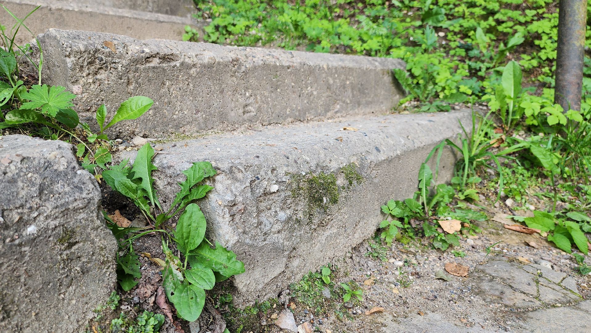 Руза, выездная администрация, благоустройство, парк городок,