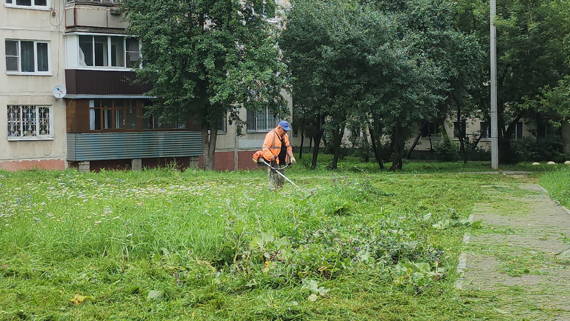 серпухов, подмосковье, стрижка газонов,