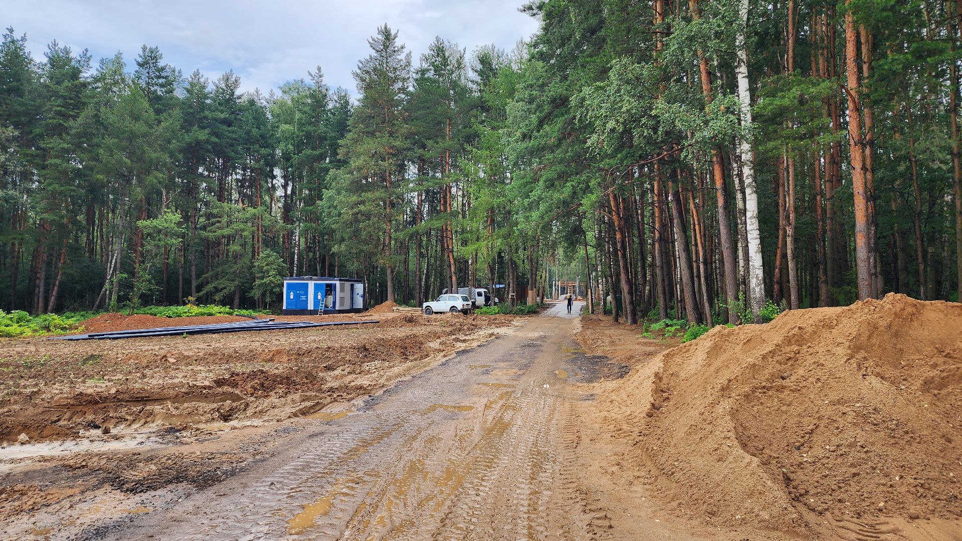 истра, лесопарк, благоустройство,