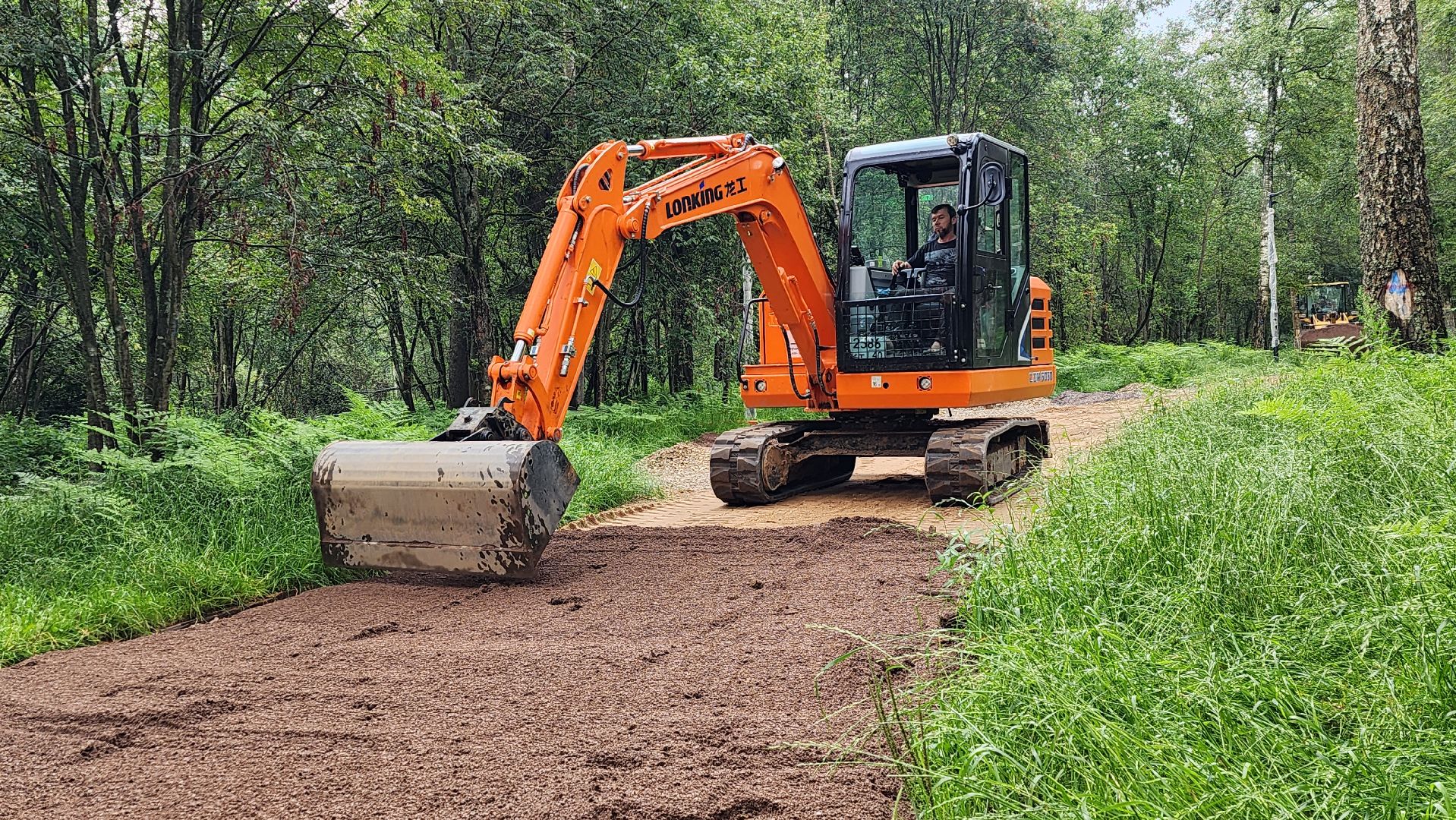 истра, лесопарк, благоустройство,