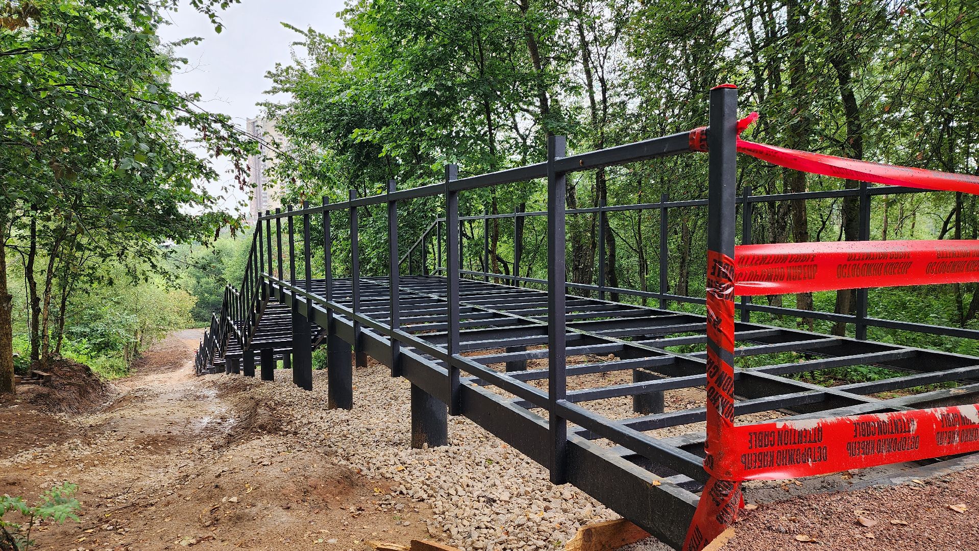 истра, лесопарк, благоустройство,