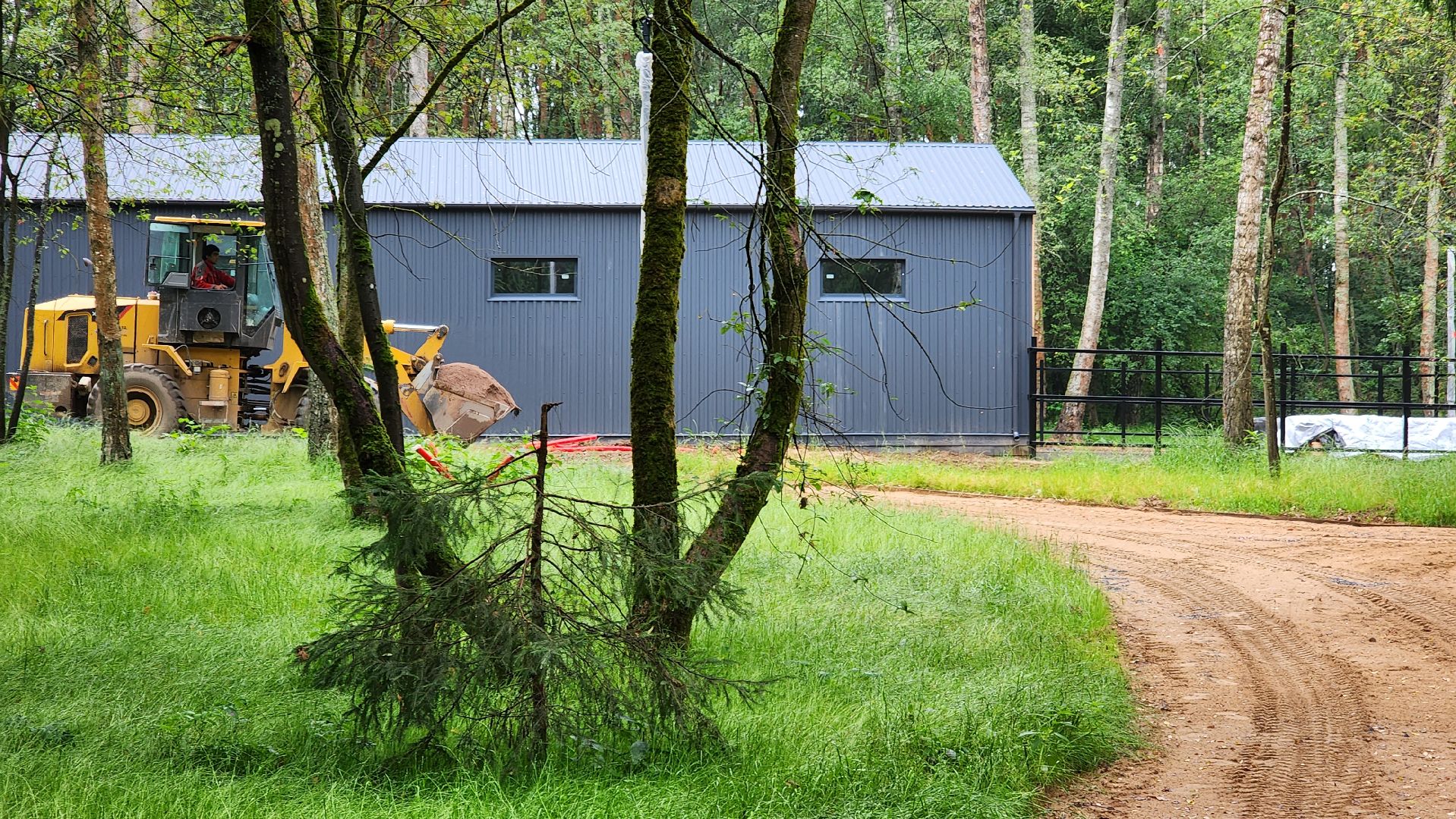 истра, лесопарк, благоустройство,