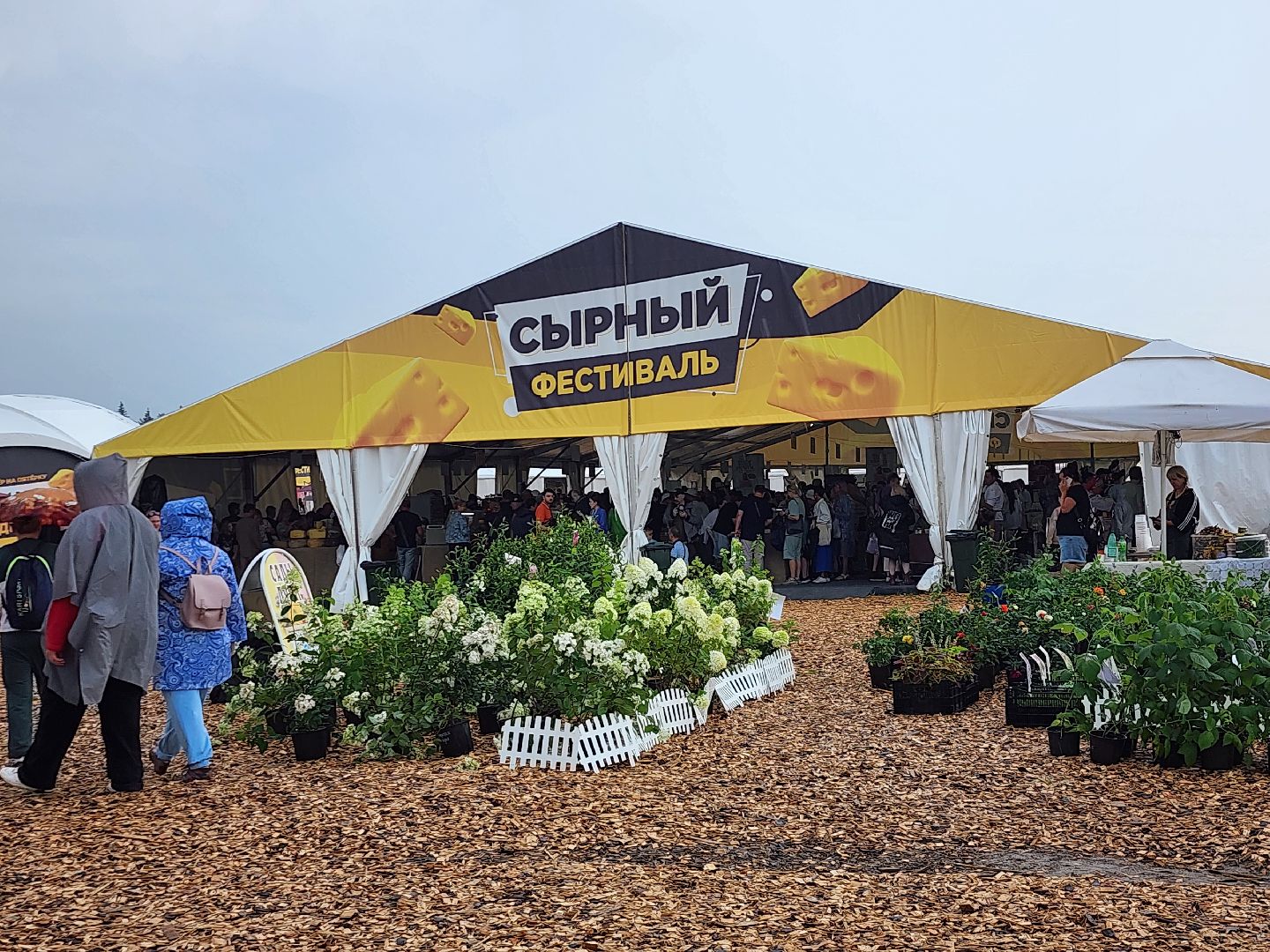 Истра, Фестиваль, Транспорт,