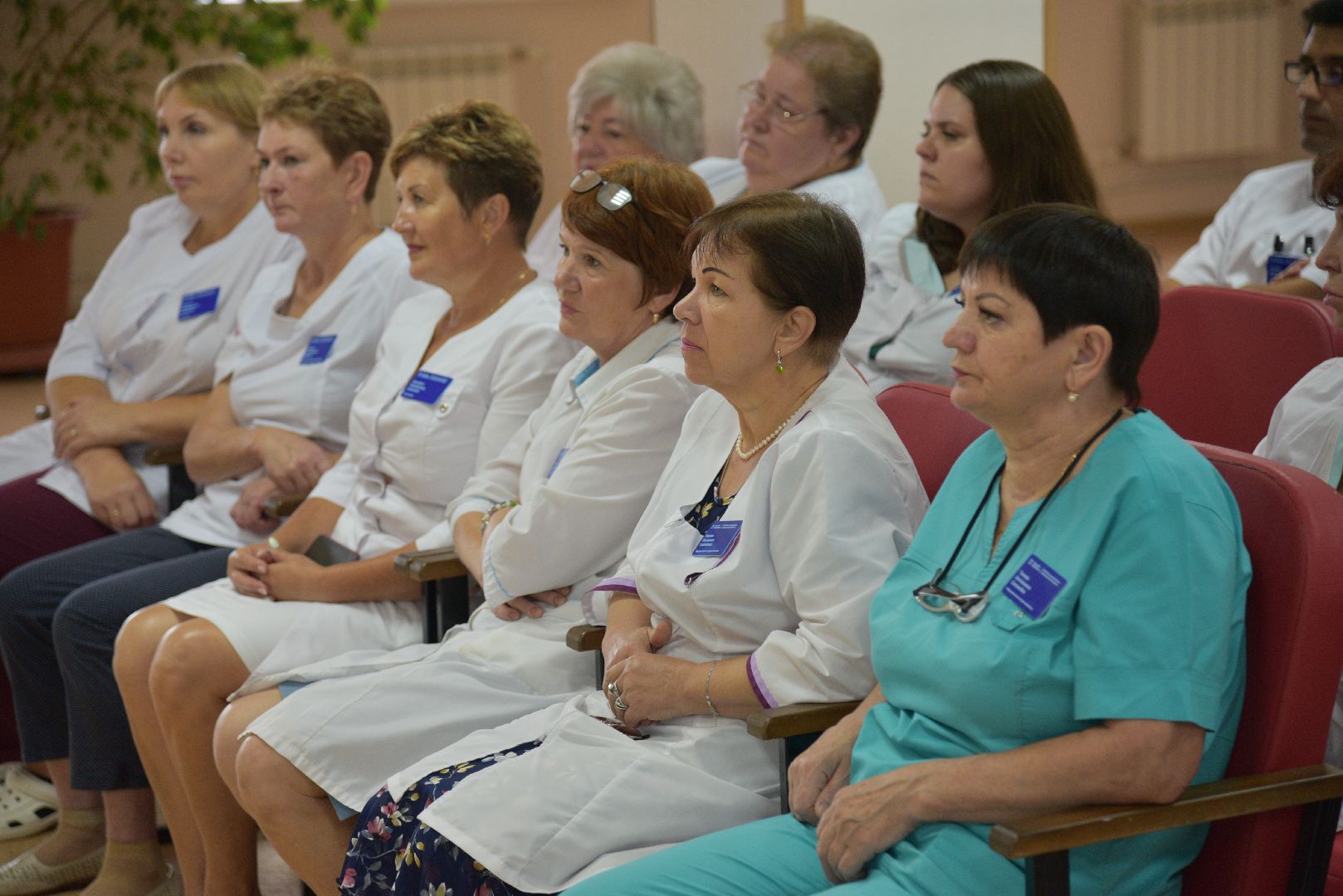 лотошино, прокуратура, мошенники, лотошинская больница,