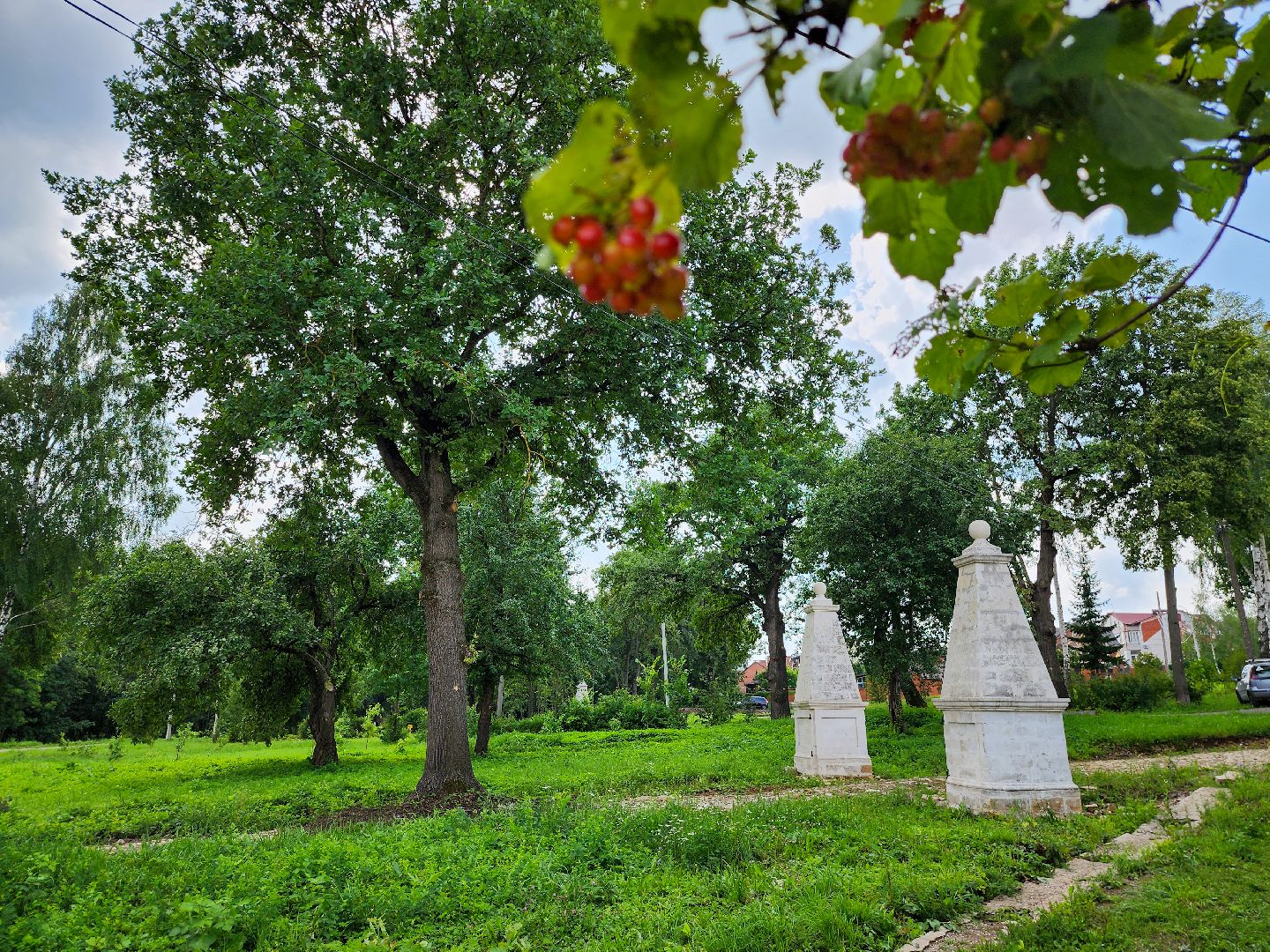 подольск, плещеево, башмет, волонтеры,