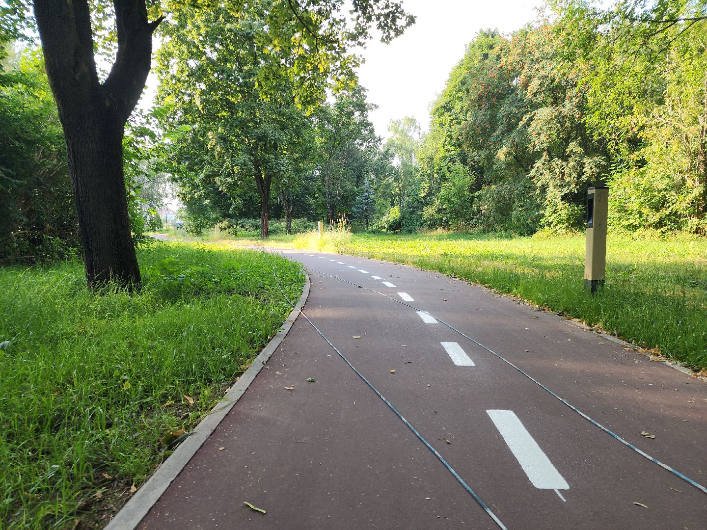 Черноголовка, Благоустройство, Велодорожки,