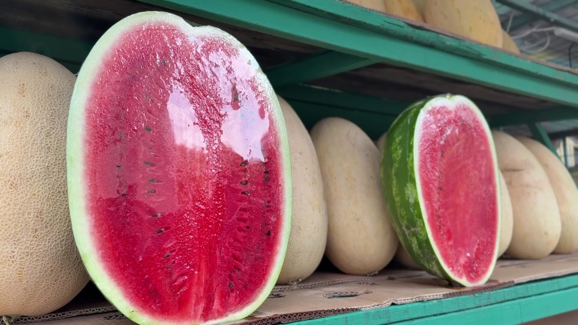 Реутов, бахчевой сезон, арбузы, дыни, продажи,