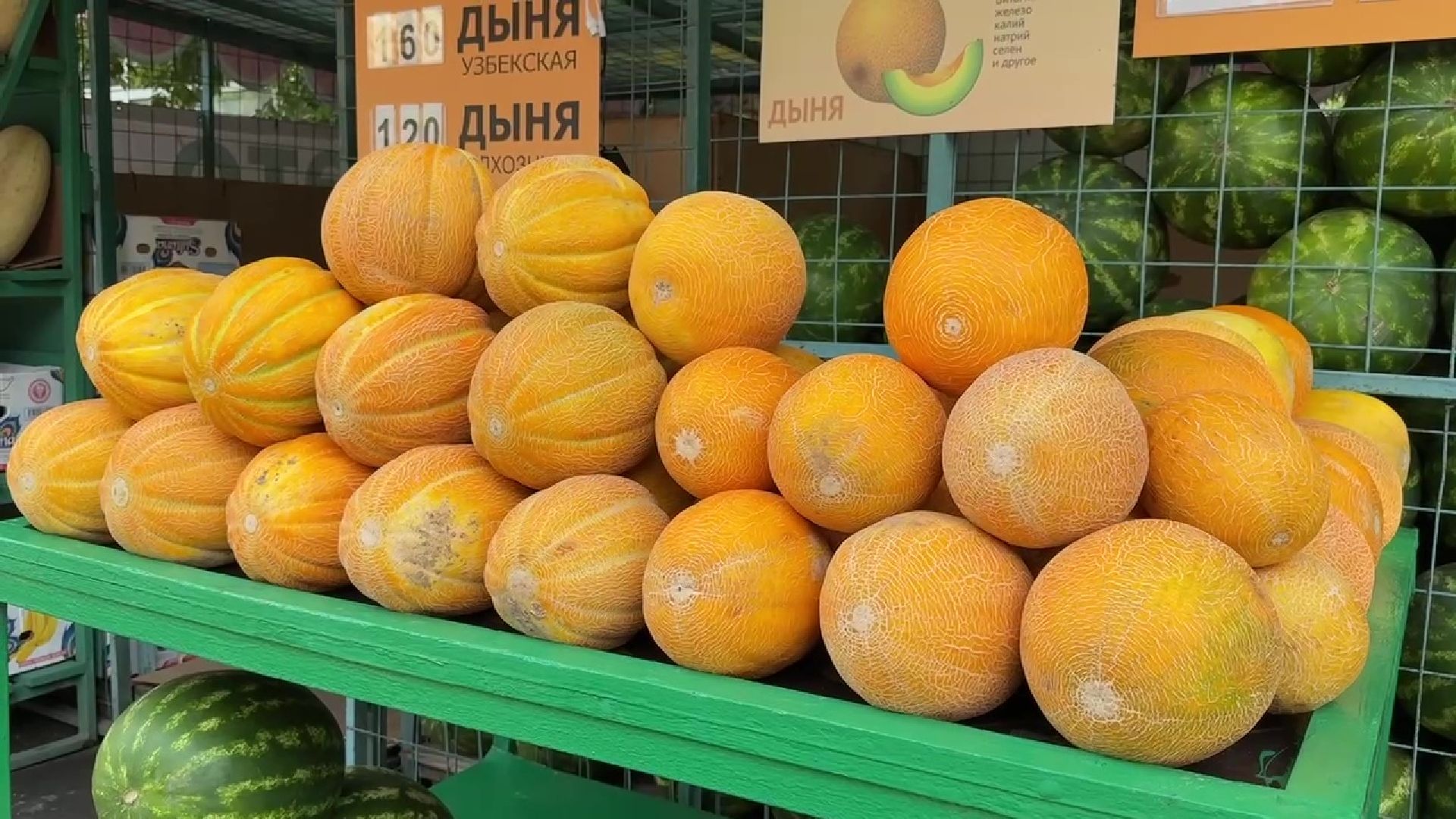 Реутов, бахчевой сезон, арбузы, дыни, продажи,