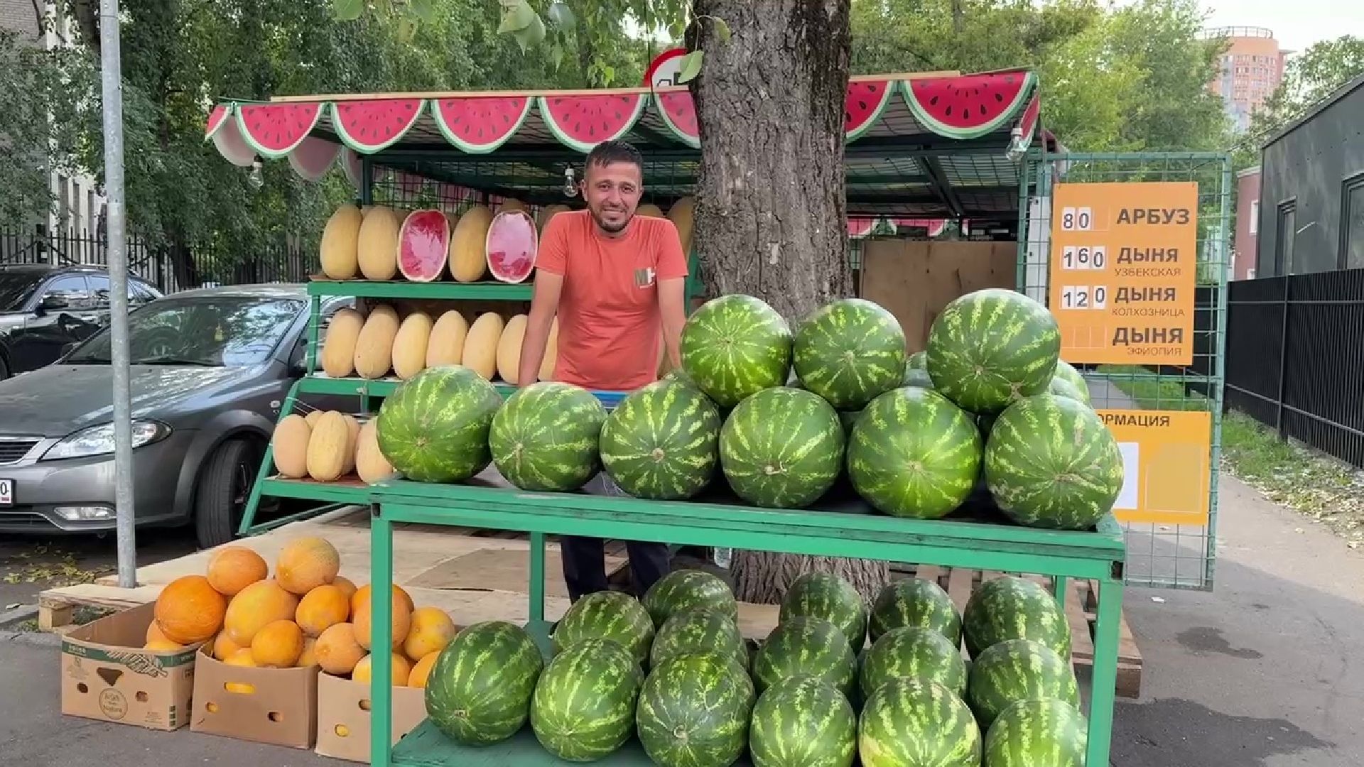 Реутов, бахчевой сезон, арбузы, дыни, продажи,