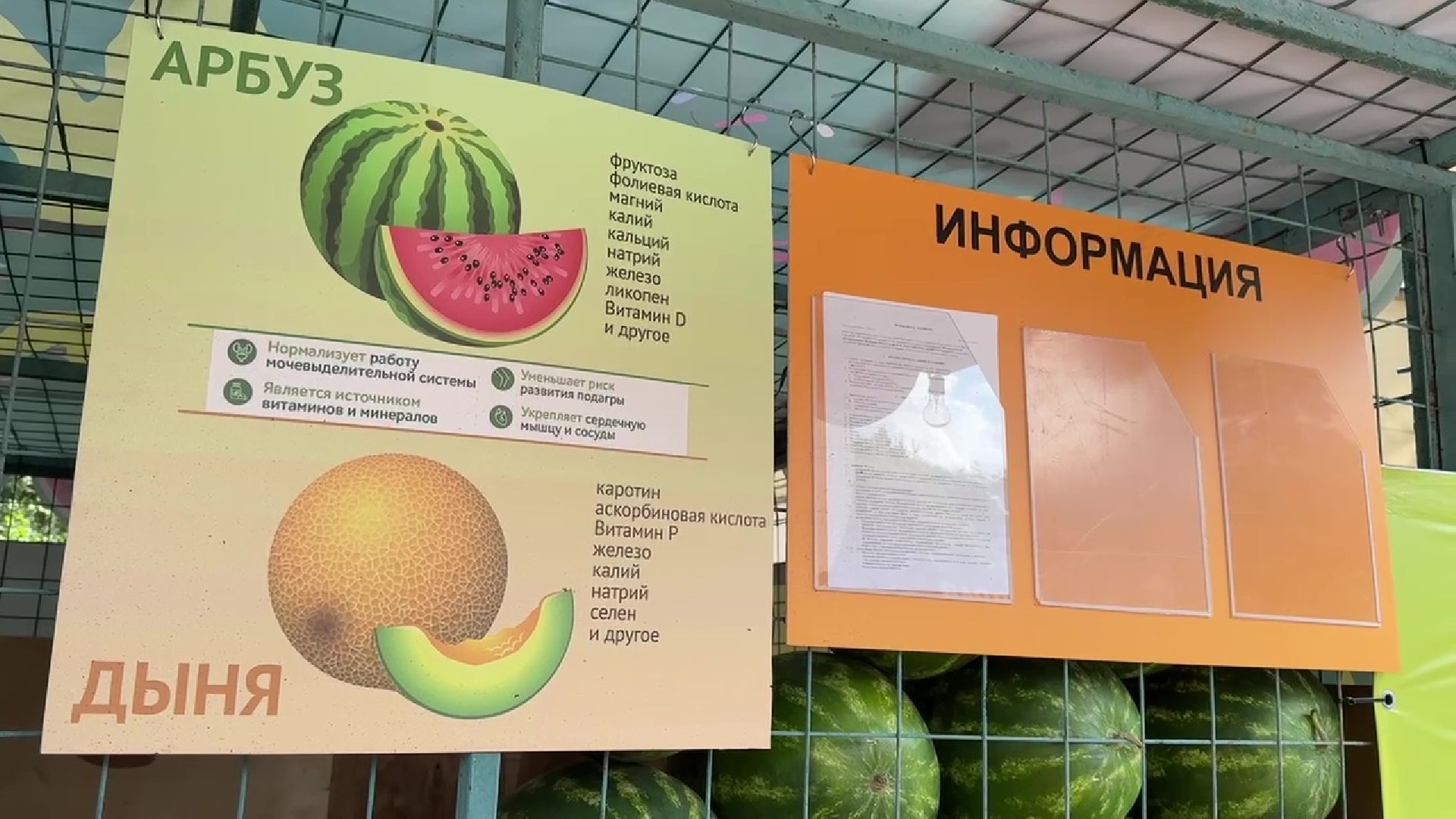 Реутов, бахчевой сезон, арбузы, дыни, продажи,