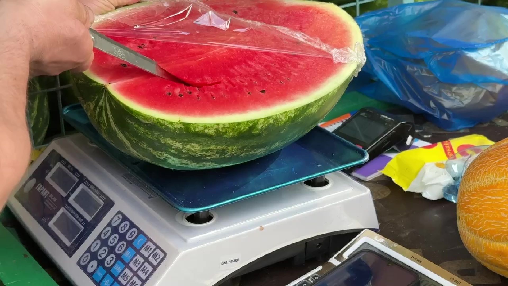 Реутов, бахчевой сезон, арбузы, дыни, продажи,