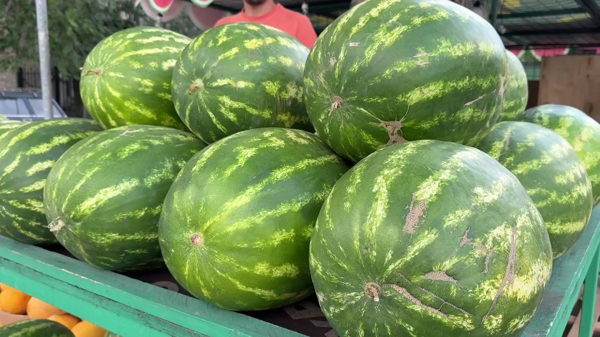 Реутов, бахчевой сезон, арбузы, дыни, продажи,