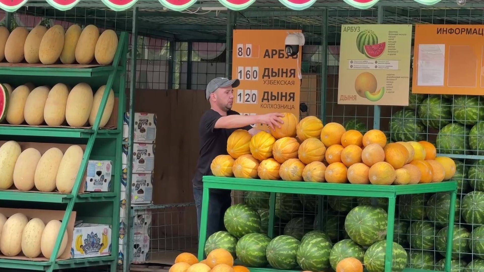 Реутов, бахчевой сезон, арбузы, дыни, продажи,