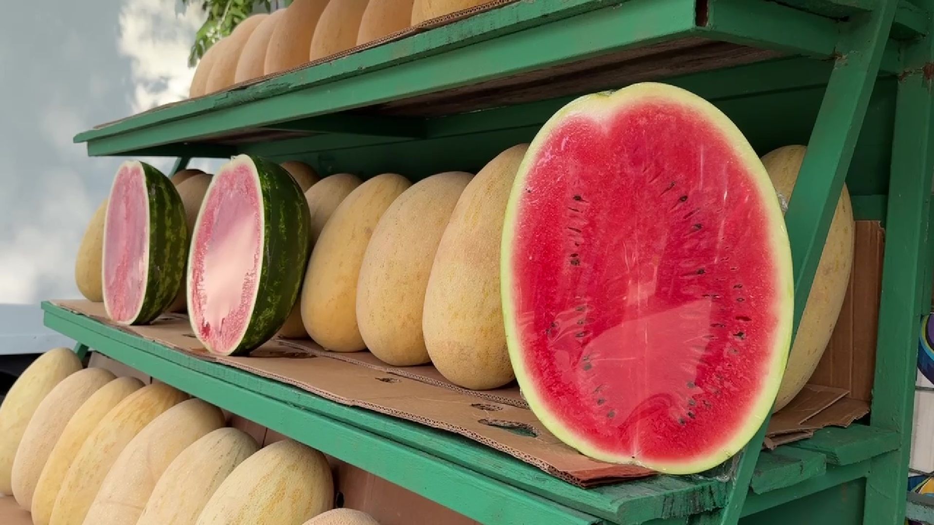 Реутов, бахчевой сезон, арбузы, дыни, продажи,