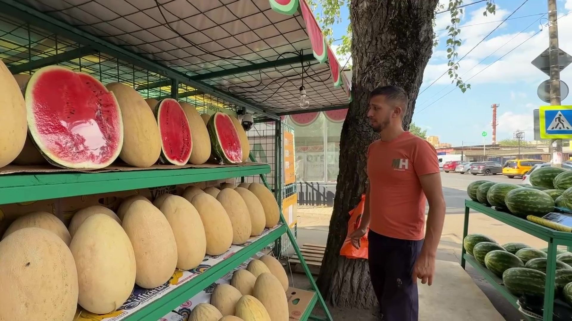 Реутов, бахчевой сезон, арбузы, дыни, продажи,