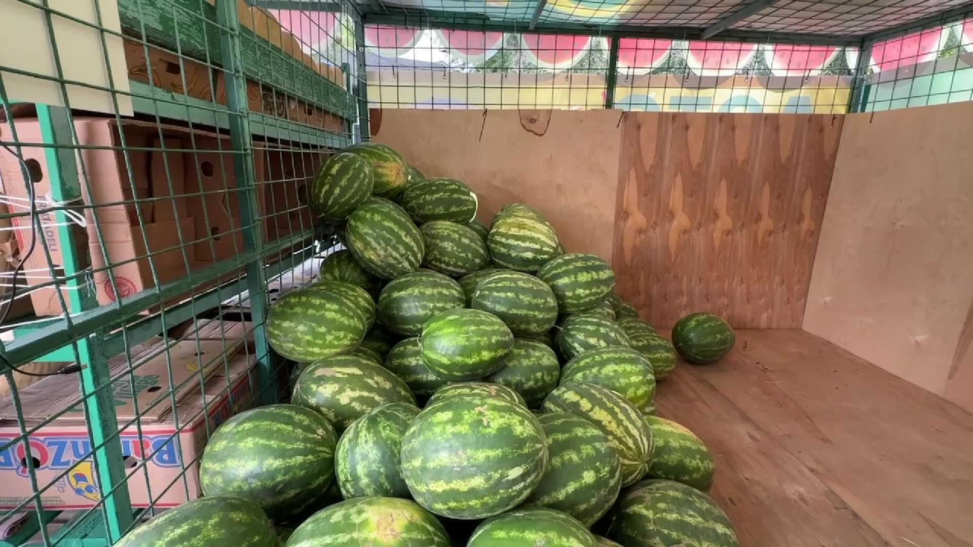 Реутов, бахчевой сезон, арбузы, дыни, продажи,