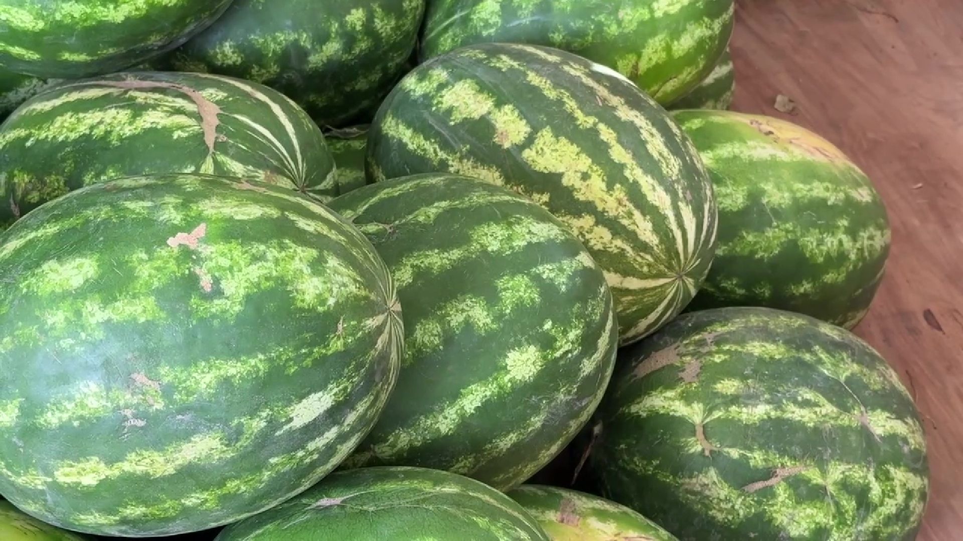 Реутов, бахчевой сезон, арбузы, дыни, продажи,