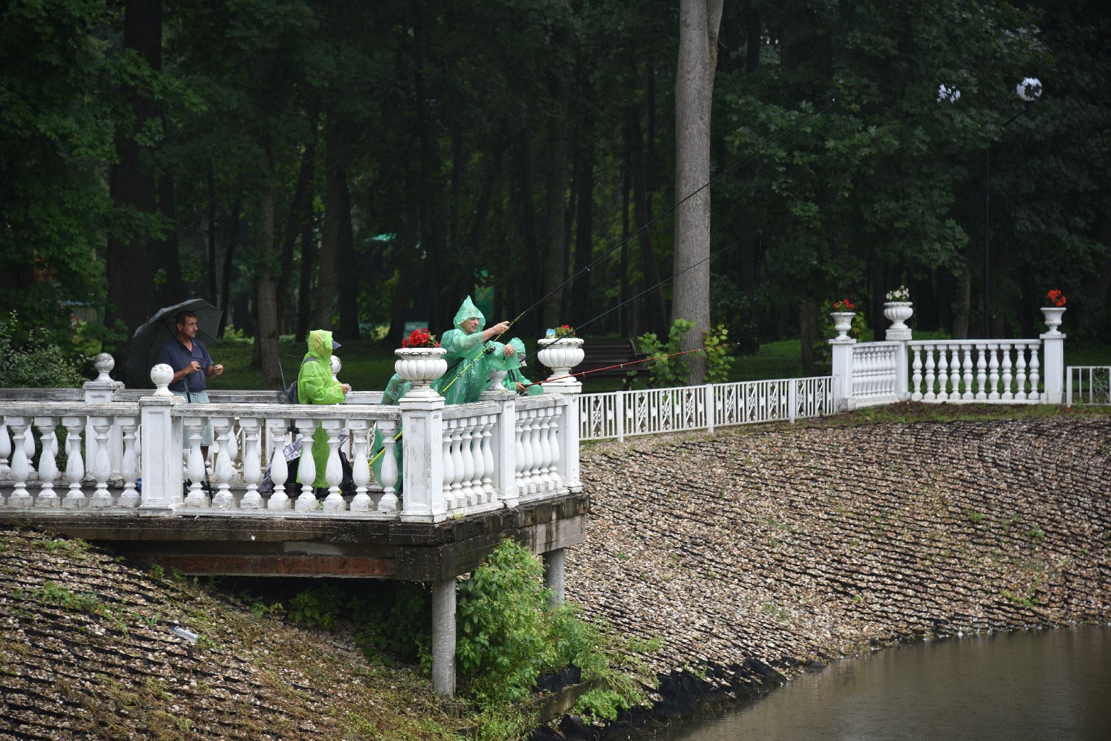 лотошино, лотошинский парк, рыбалка, парки подмосковья,