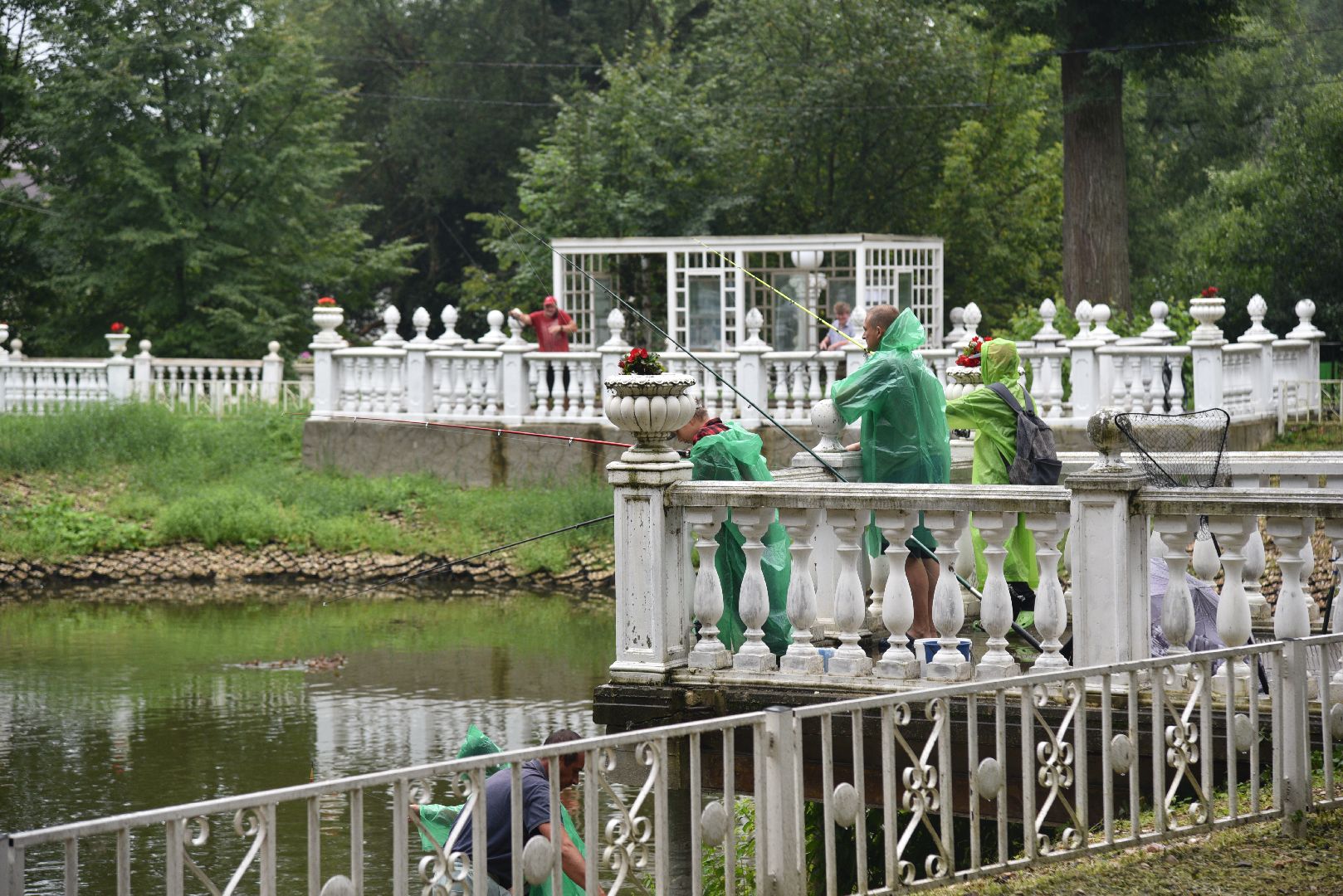 лотошино, лотошинский парк, рыбалка, парки подмосковья,