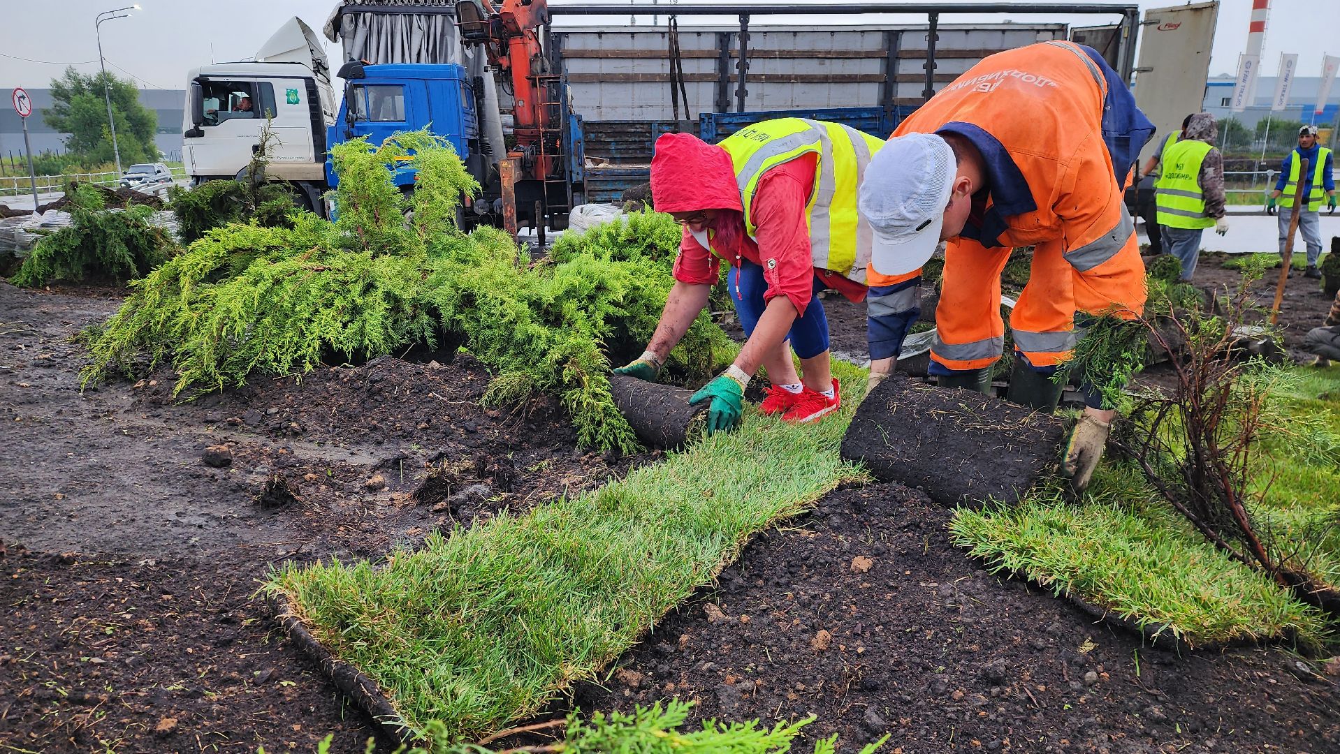 истра, благоустройство, озеленение,
