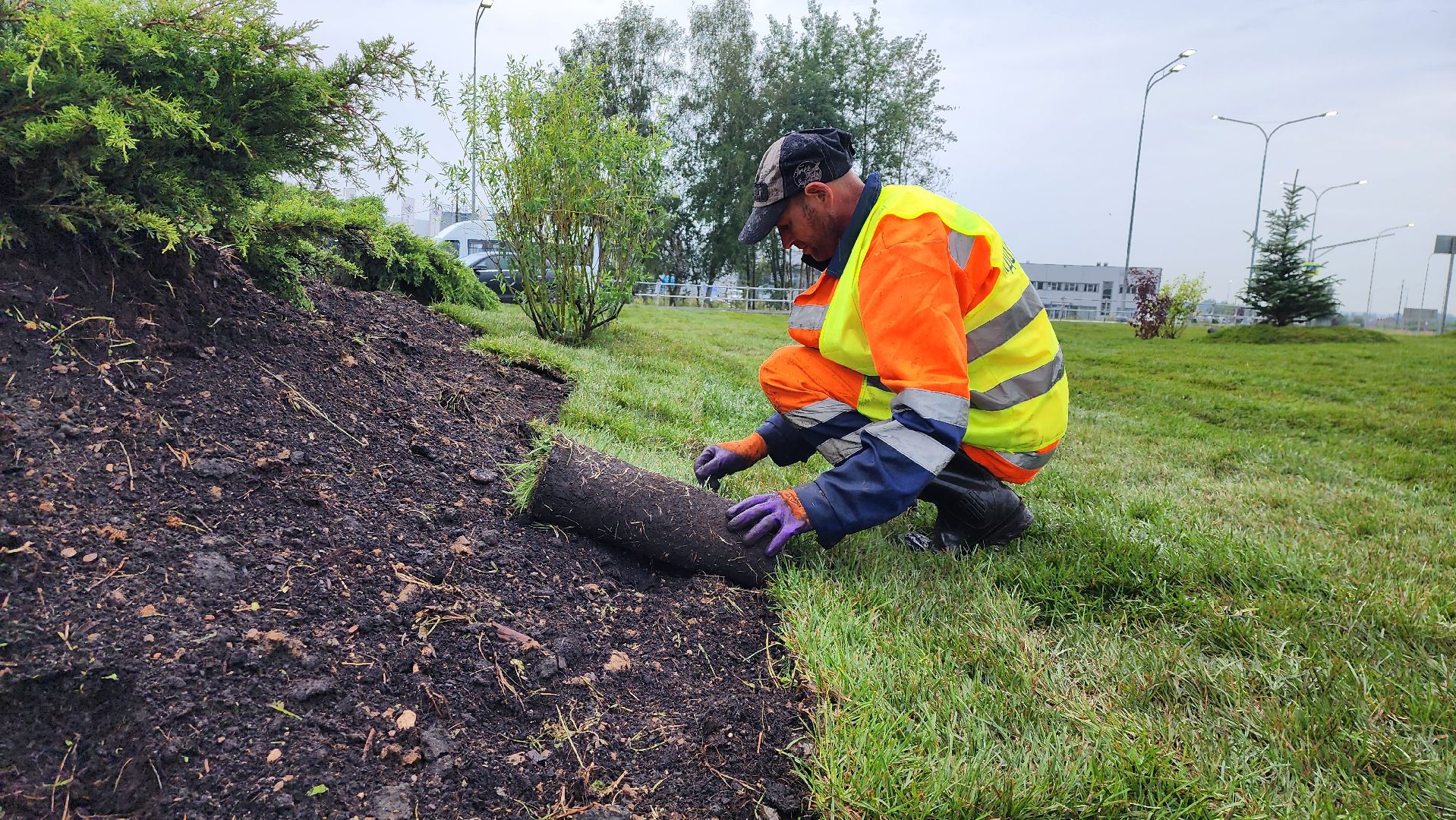 истра, благоустройство, озеленение,