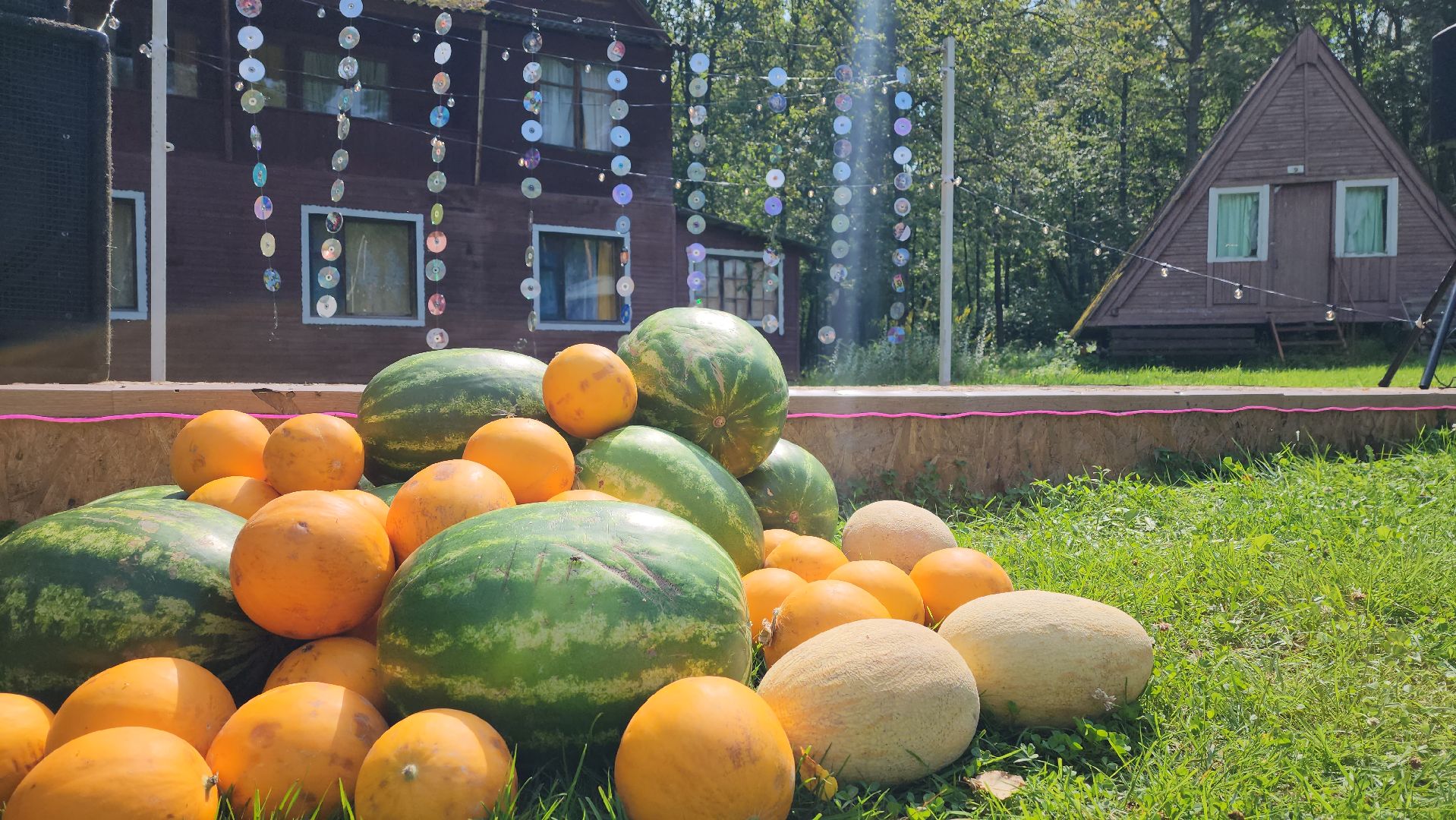 луховицы, слет молодежи, турбаза росинка,