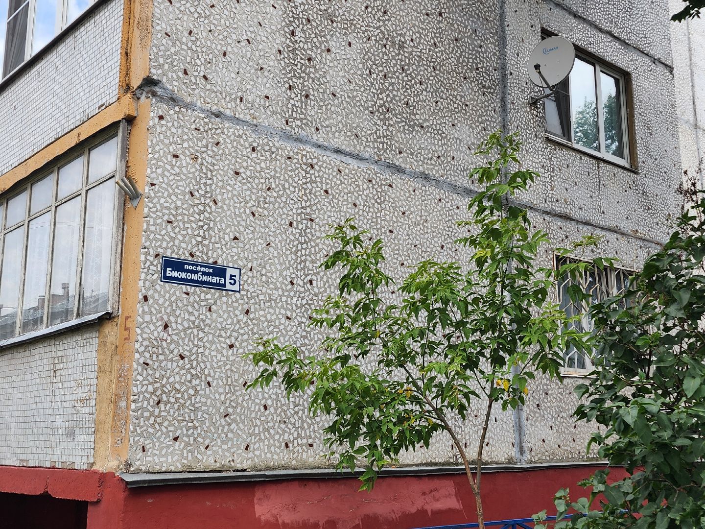 лосино-петровский, обход территории, глава городского округа, школа,