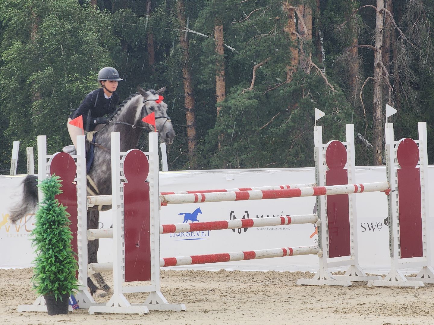 Черноголовка, Конкур, Конный спорт,