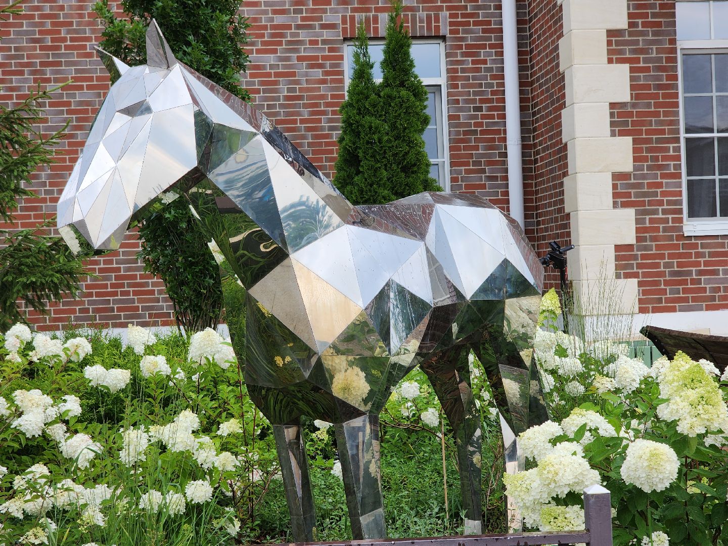 Черноголовка, Конкур, Конный спорт,