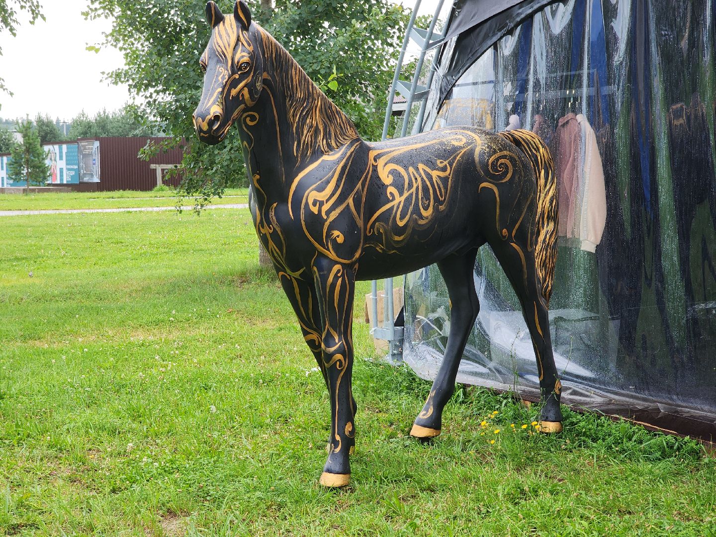 Черноголовка, Конкур, Конный спорт,