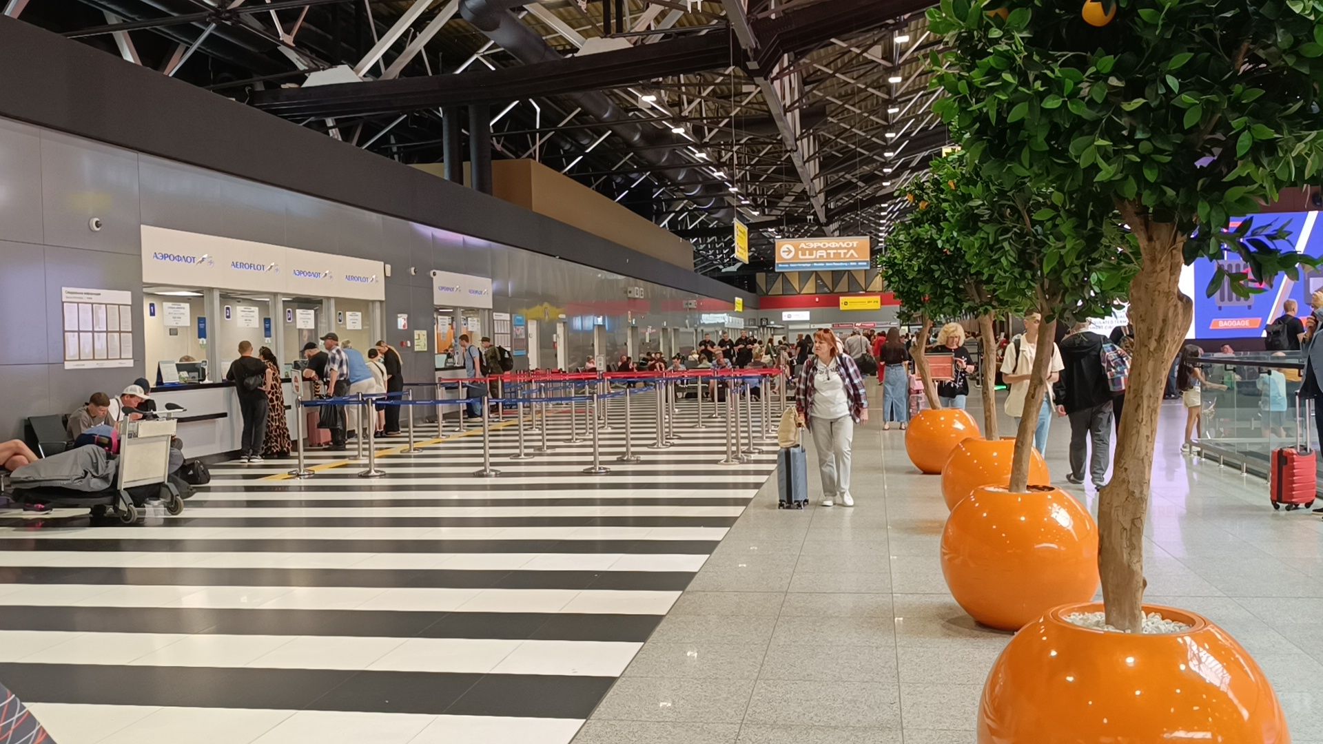 транспорт, такси, аэропорт, химки, лобня,