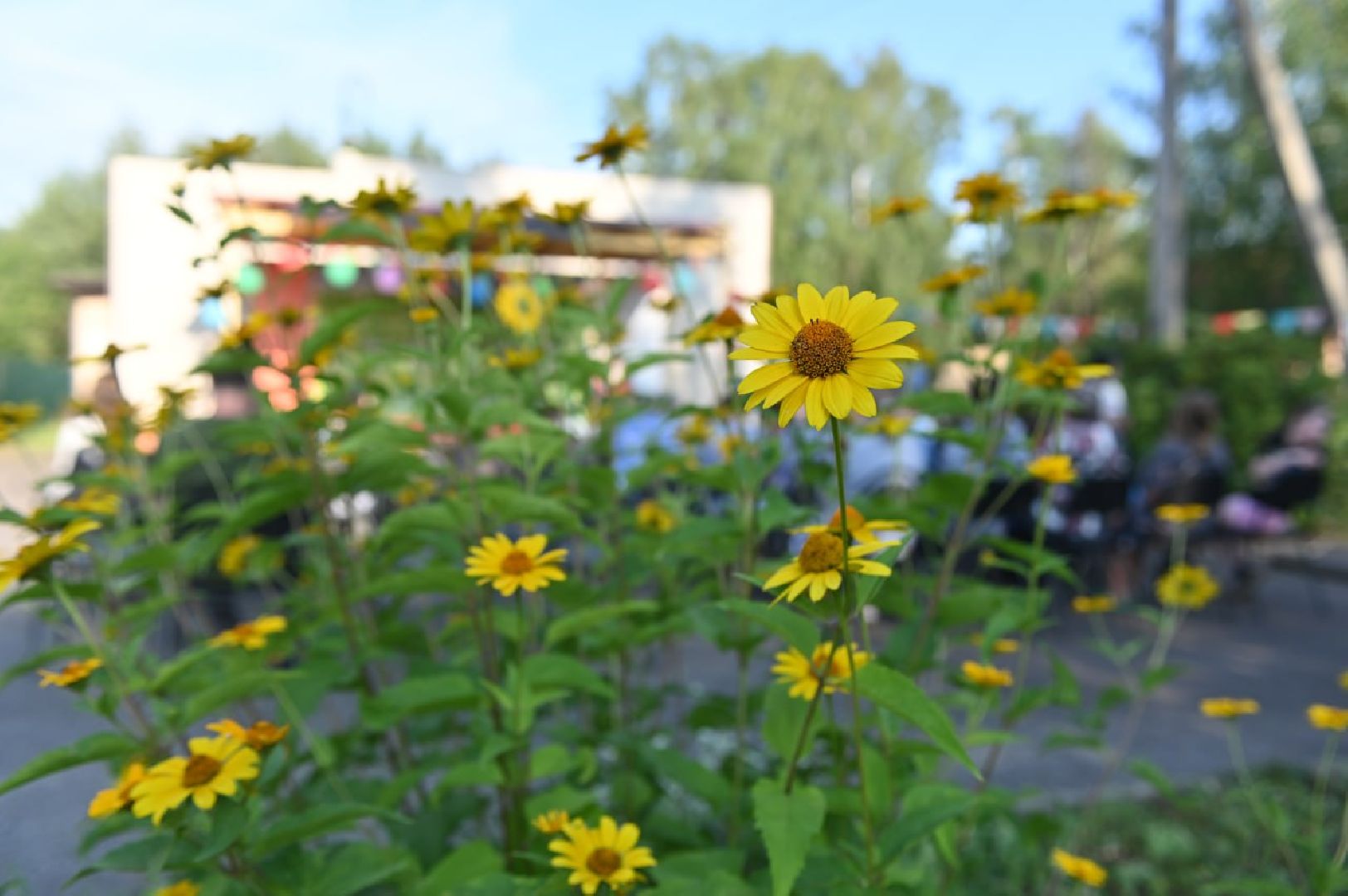 сергиево-посадский городской округ, кузьмино, день деревни, праздник, хор радуга, коллектив солнышко,