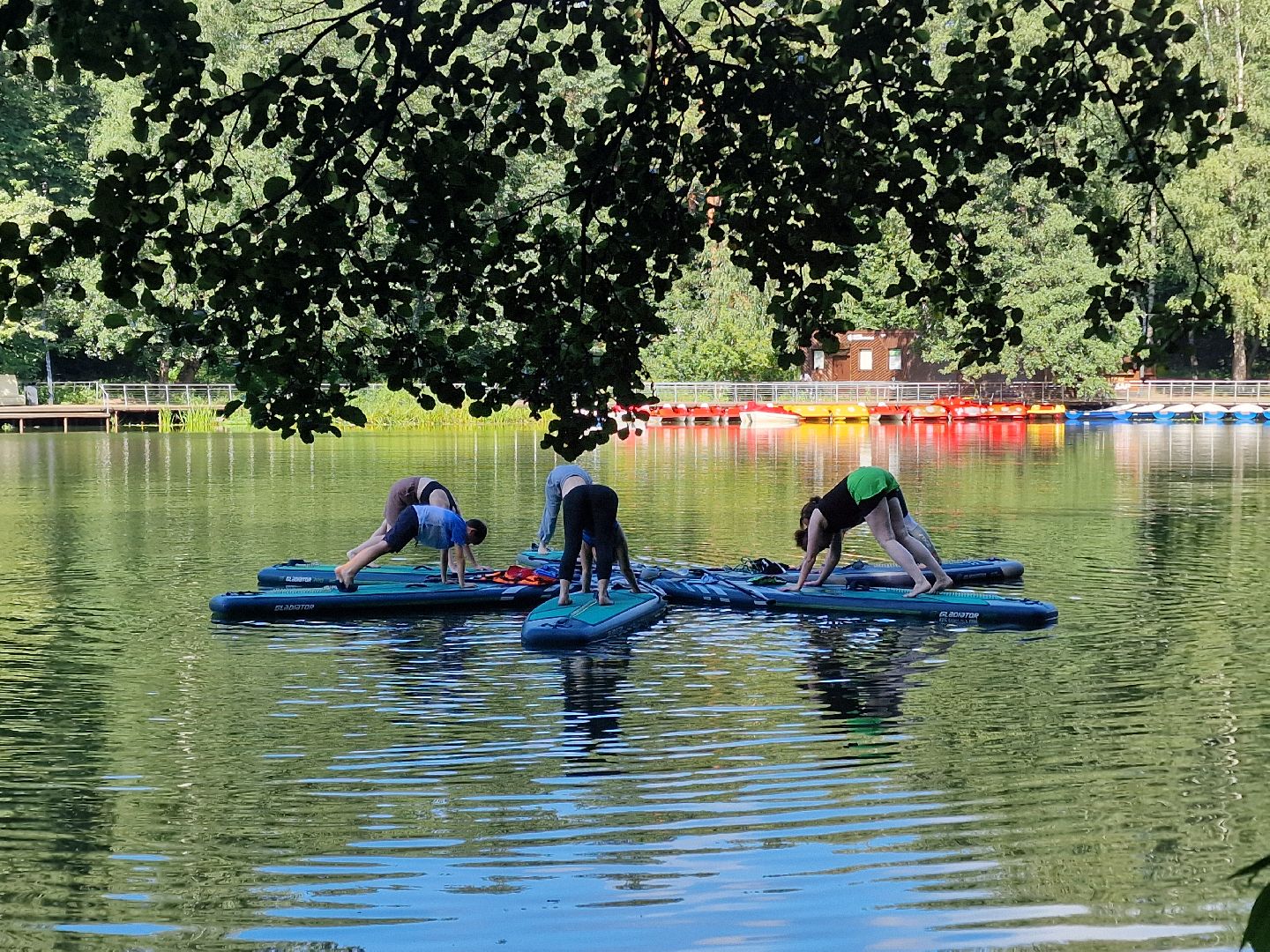 йога на сапбордах, йога на сапе, йога на воде, йога в пехорке, балашиха,